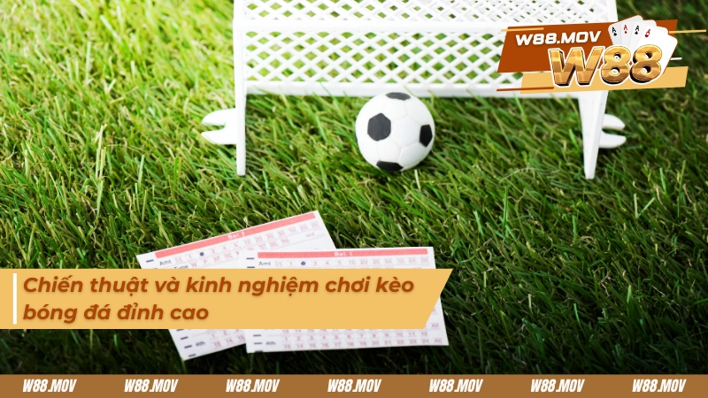 Chiến thuật và kinh nghiệm khi cược các loại kèo bóng đá