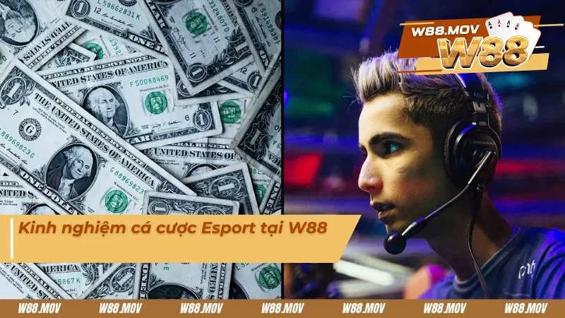 Kinh nghiệm cá cược Esport