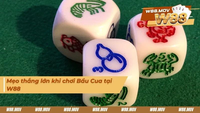 Kinh nghiệm thắng lớn từ các cao thủ 