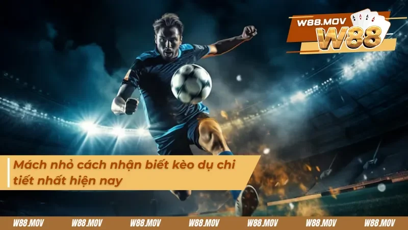 Mách nhỏ cách nhận biết kèo dụ chi tiết nhất hiện nay